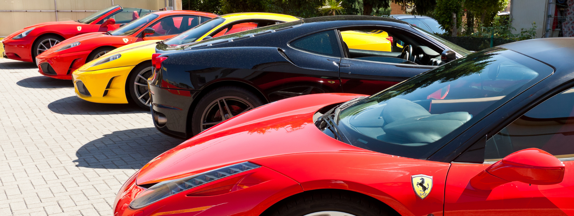 Arabian Gazelles, Allfemale Supercar Club Scrap Car Comparison