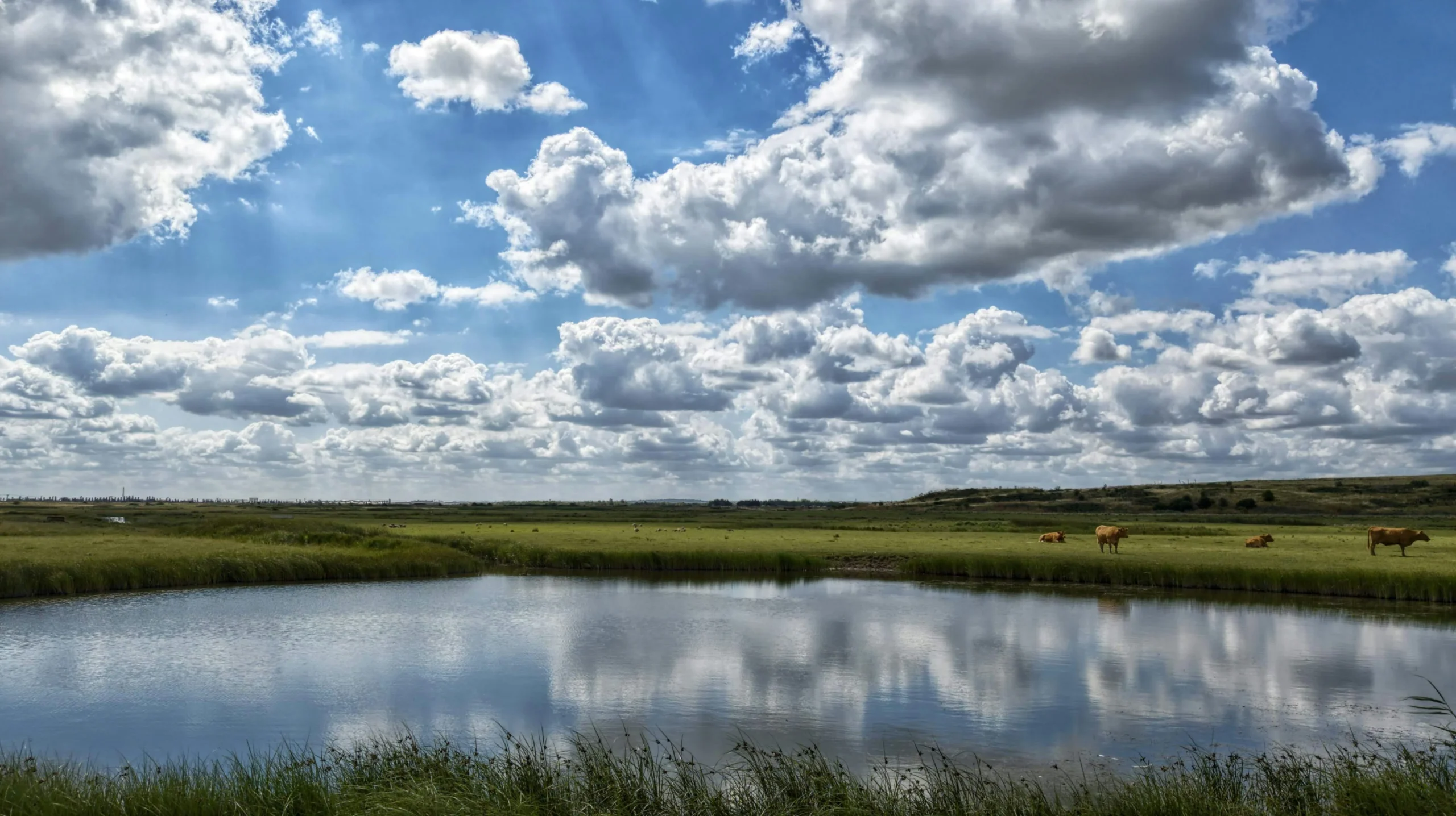 Bowers Marsh, Basildon