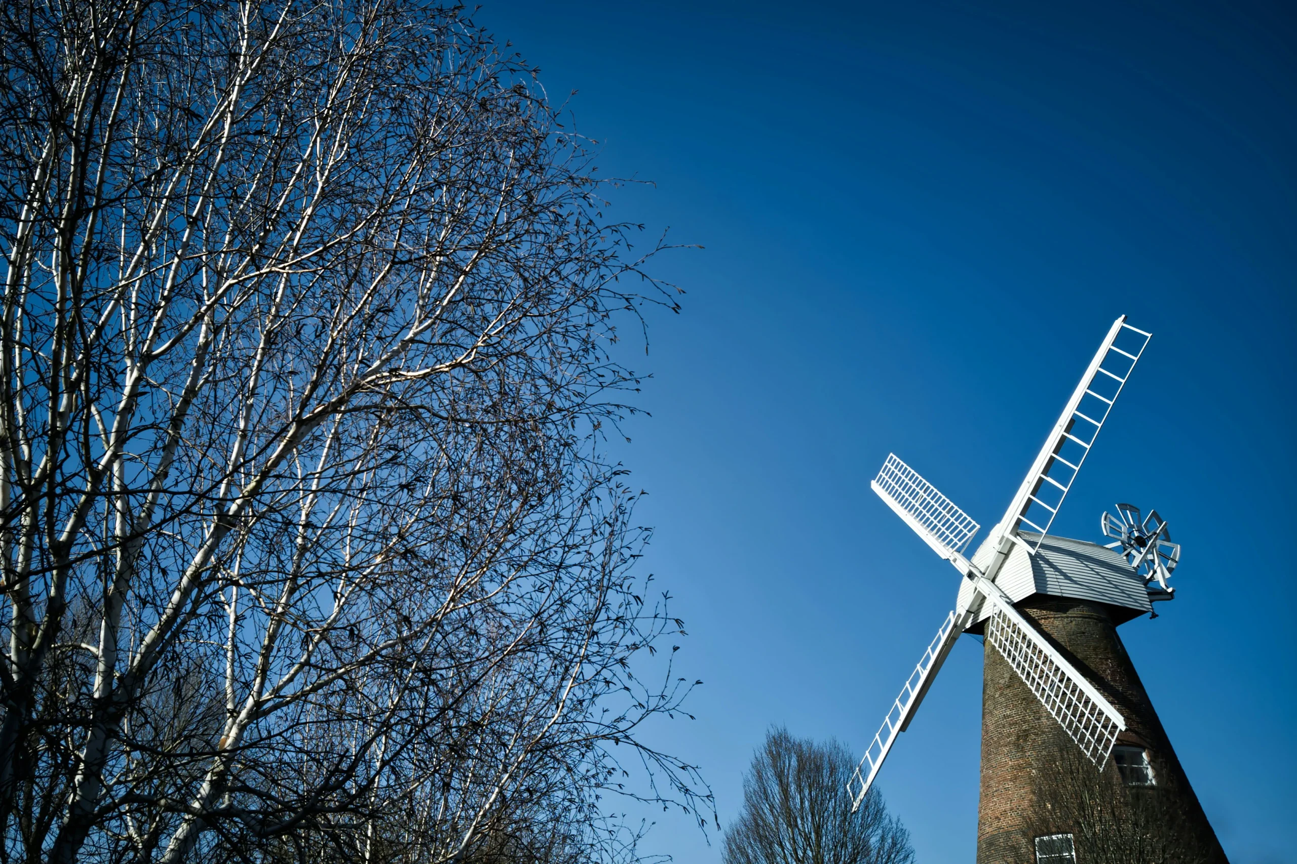 Rayleigh Mill beside bare trees.