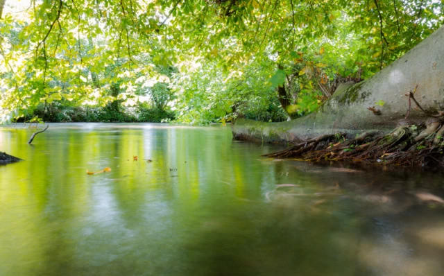 River Itchen in Eastleigh, Hampshire