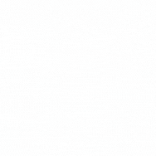Most scrapped Dacia GIF