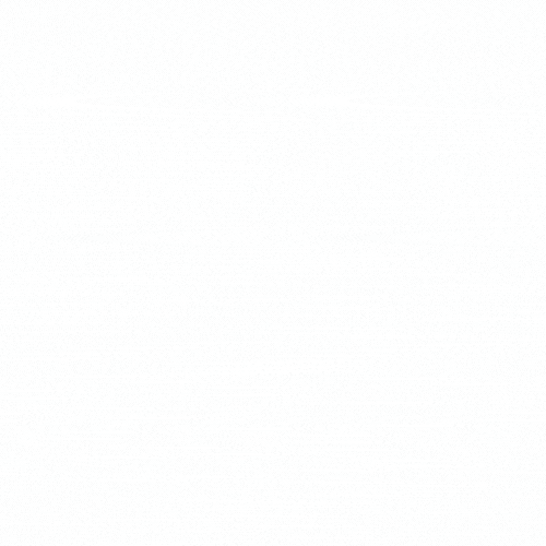 Most scrapped DS GIF